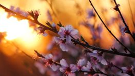 GettyImages-1294691084_k_178